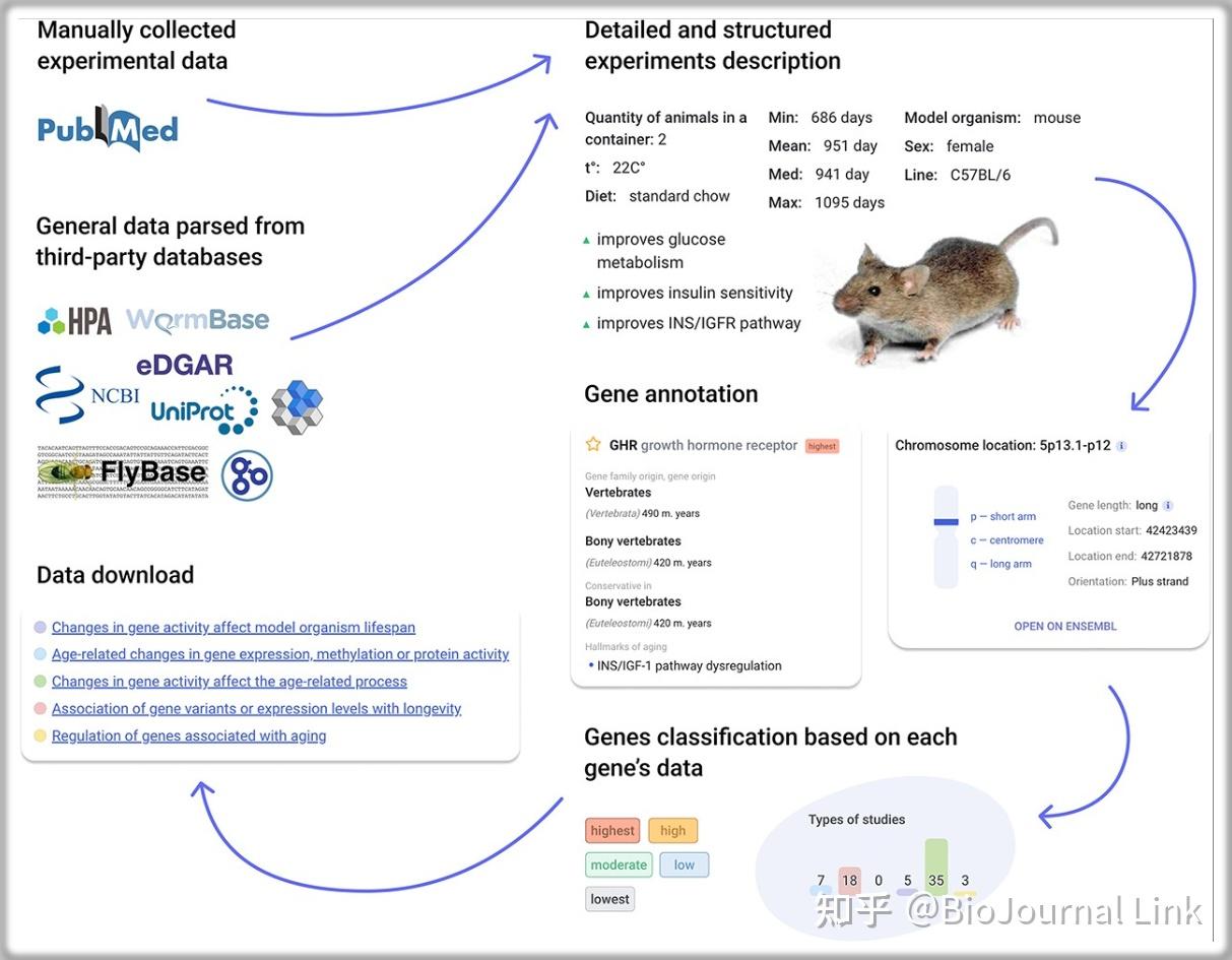 数据库介绍 | Open Genes——一个全新的综合数据库，关联人类与衰老及长寿的基因 - 知乎