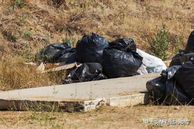 房车为什么不受当地人欢迎 景点不欢迎房车的原因介绍