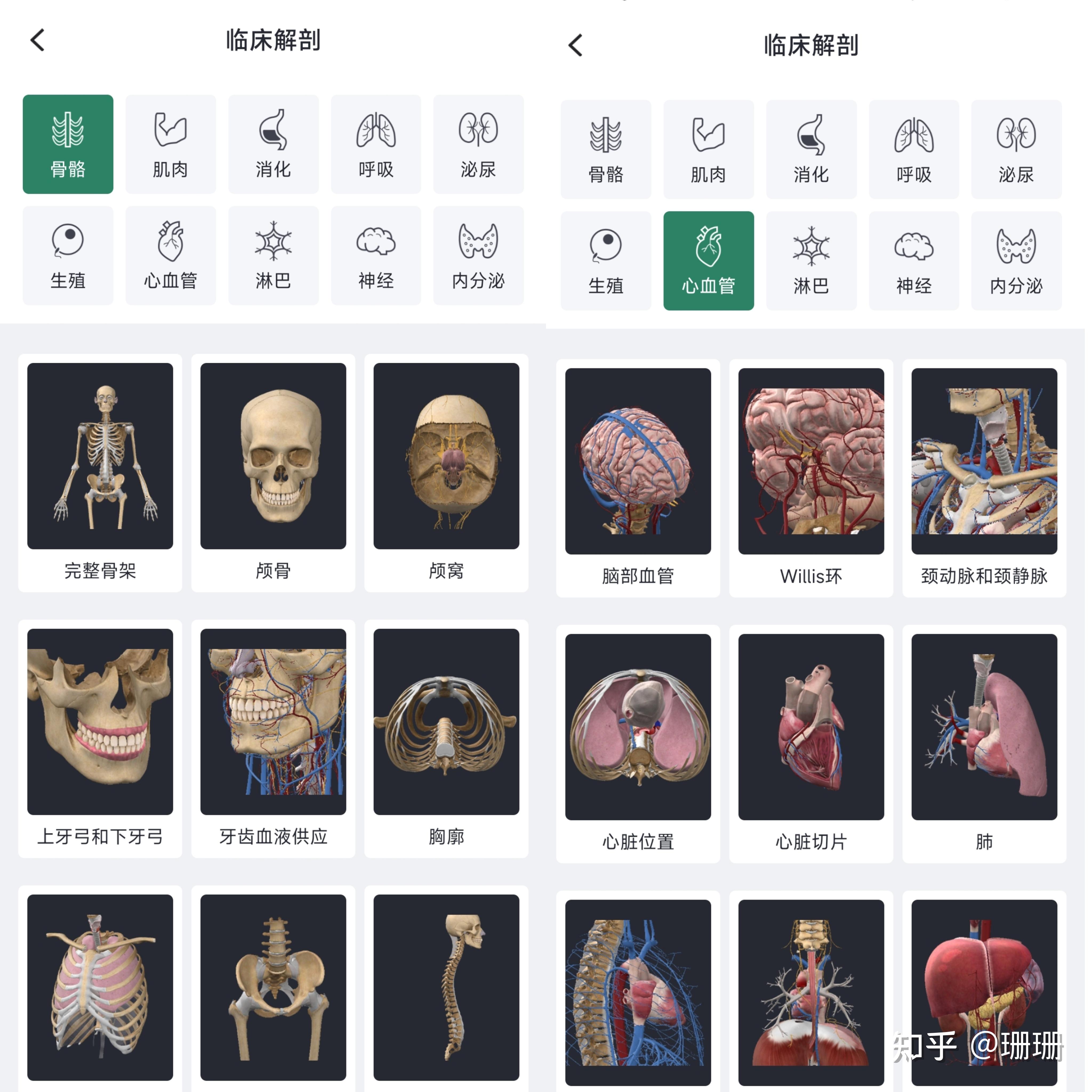 有什么好用的解剖软件？ - 知乎