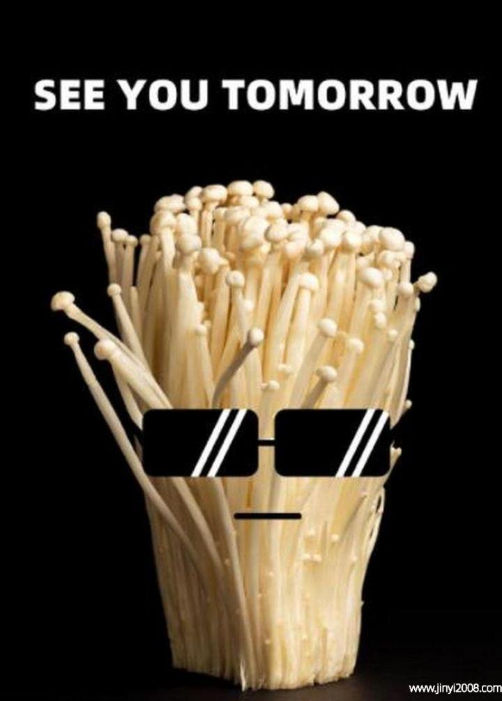 金针菇为什么叫seeyoutomorrow
