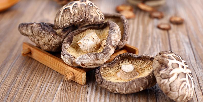 花菇和香菇的区别 知乎