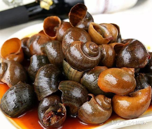 九年级下册螺蛳历史(九年级下册螺丝历史全册) 第1张 九年级下册螺蛳历史(九年级下册螺丝历史全册) 第1张