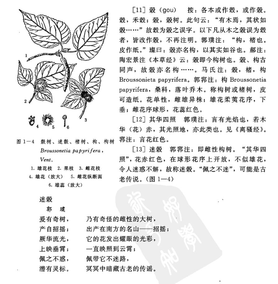 《山海经·南山经》异域奇兽【古今对照】整理——“南山一经”篇(上) - 知乎