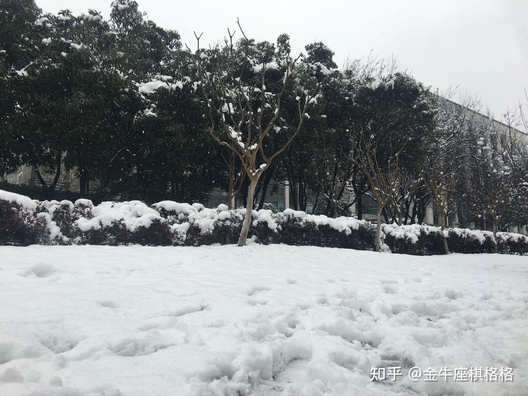 南京迎来大雪你镜头下的雪中金陵是什么样的有过哪些关于下雪的难忘