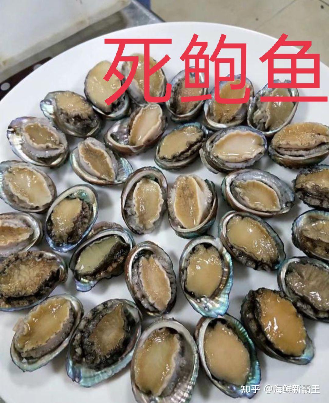 鲍鱼蒸了变硬的原因是什么?