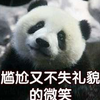 酸酸甜甜就是狗