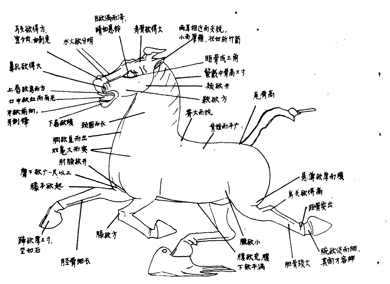 铜奔马的马腿的姿态是错误的吗? - 知乎