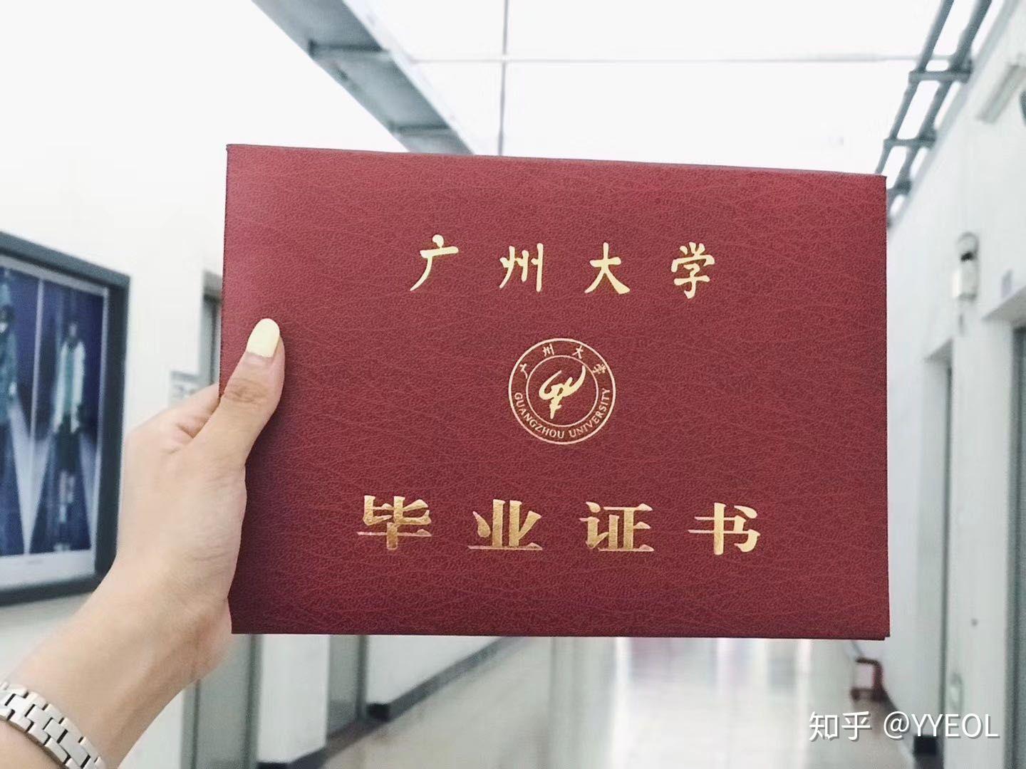 毕业证丢了在广州怎么补办 知乎