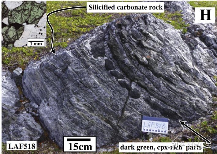 生物岩是第二大岩（Biolith (biogenic rock) is the second main rock in Earth） - 知乎