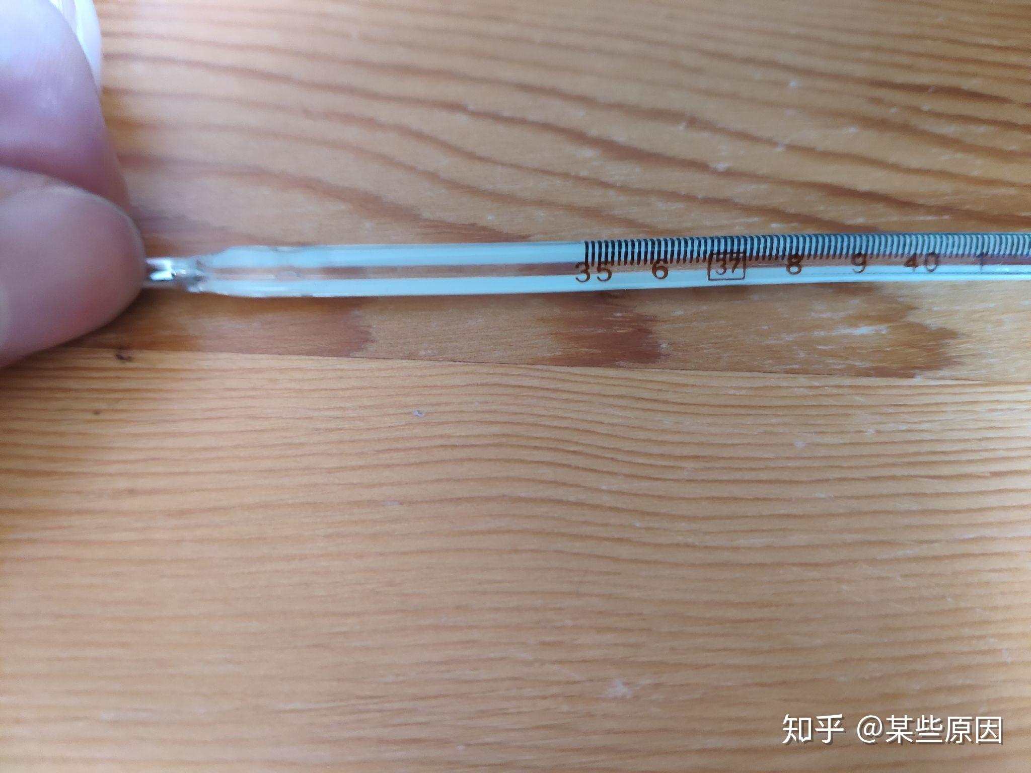 日本TANITA百利达针式熬糖烘焙温度计液体水汤温测温计TT-533-淘宝网