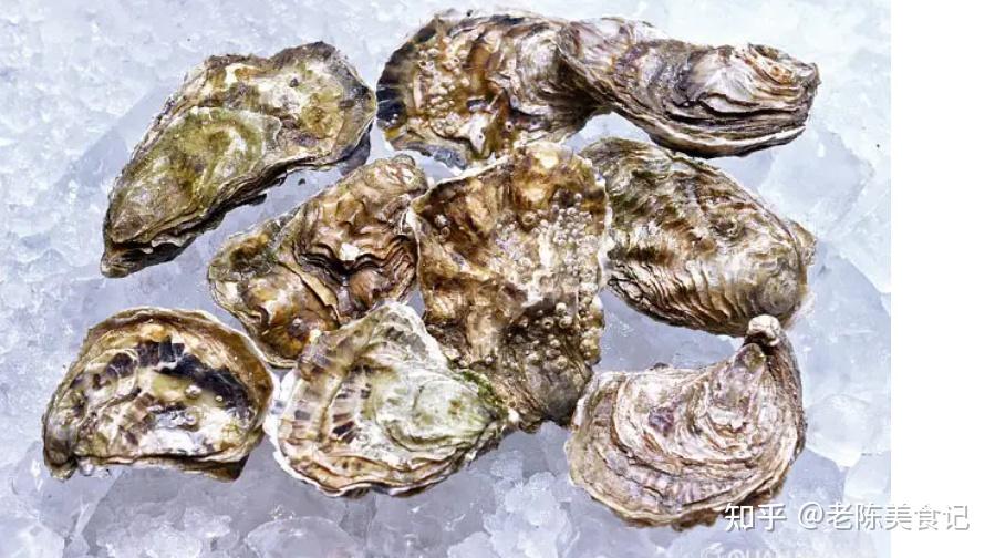 吃了30年的生蚝牡蛎,现在才知道它们的区别.