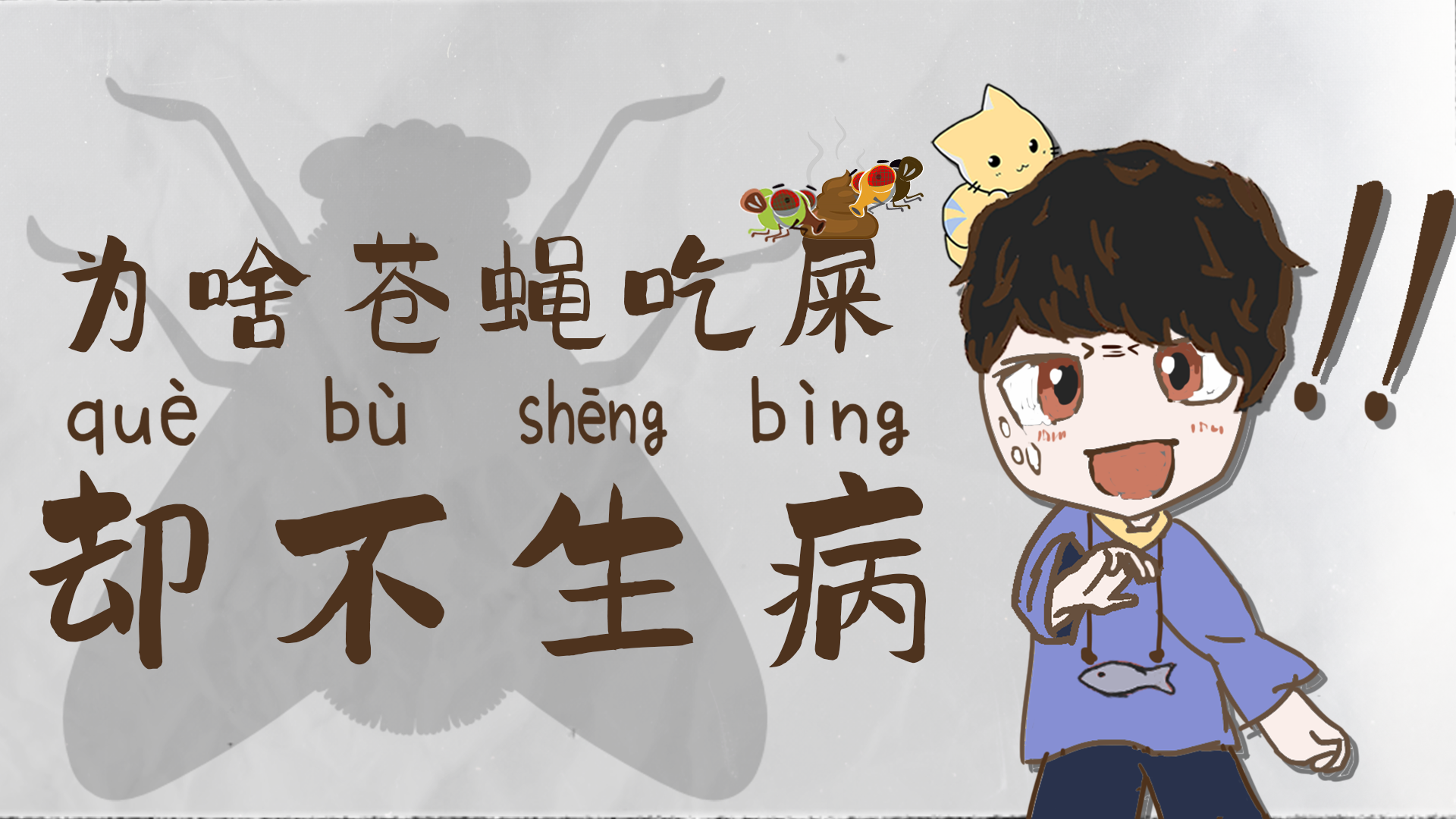 苍蝇经常吃人类剩下的食物或者垃圾,那它不会拉肚子吗? - 知乎