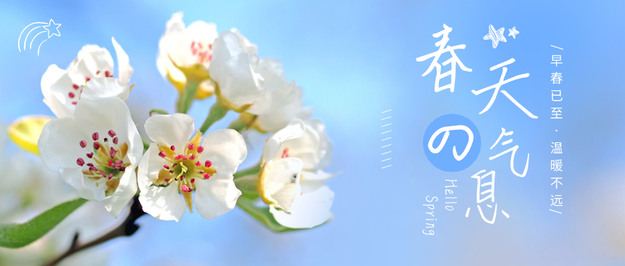 二月你好 等一场春暖花开的希望 知乎