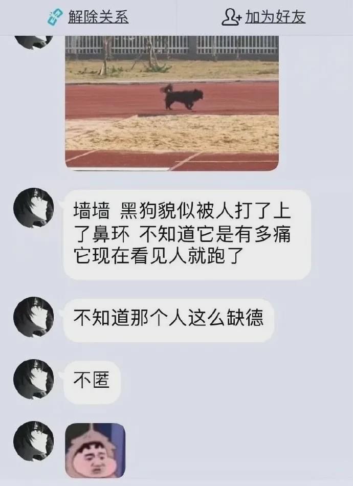 压力山大流浪狗鼻环男图片