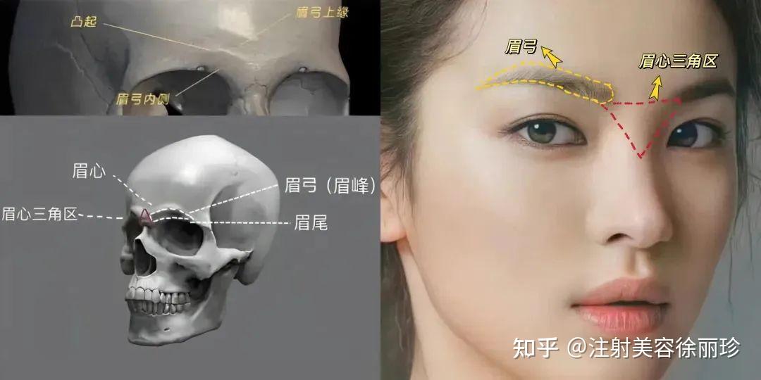 眉弓的艺术,才是影响我们眉形和上面部折叠度的关键 - 知乎