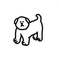 柴犬大哥