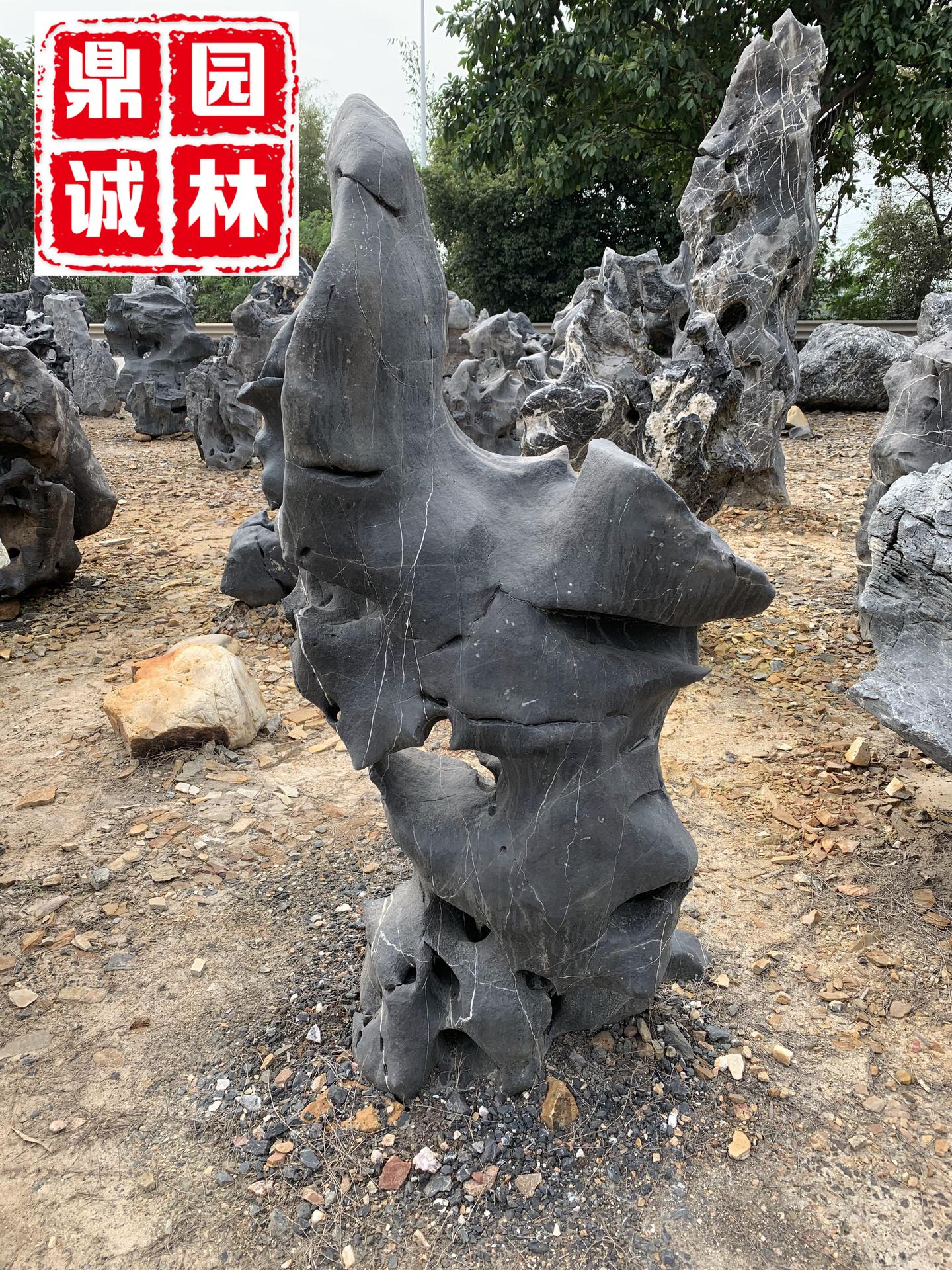 太湖石盛产于太湖地区，是一种玲珑剔透的观赏石- 知乎