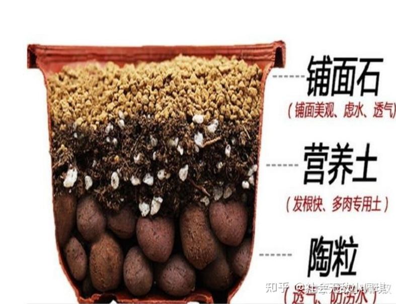 家庭种菜养花的种植土和营养土最全攻略 - 知乎