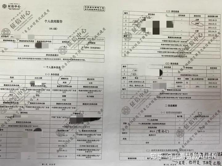 知了背调个人报告样本图片