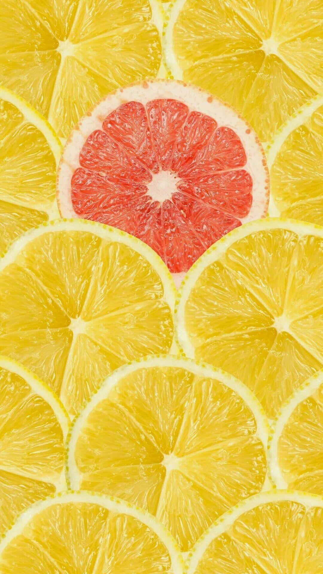 超级好看的耽美小说推荐 知乎