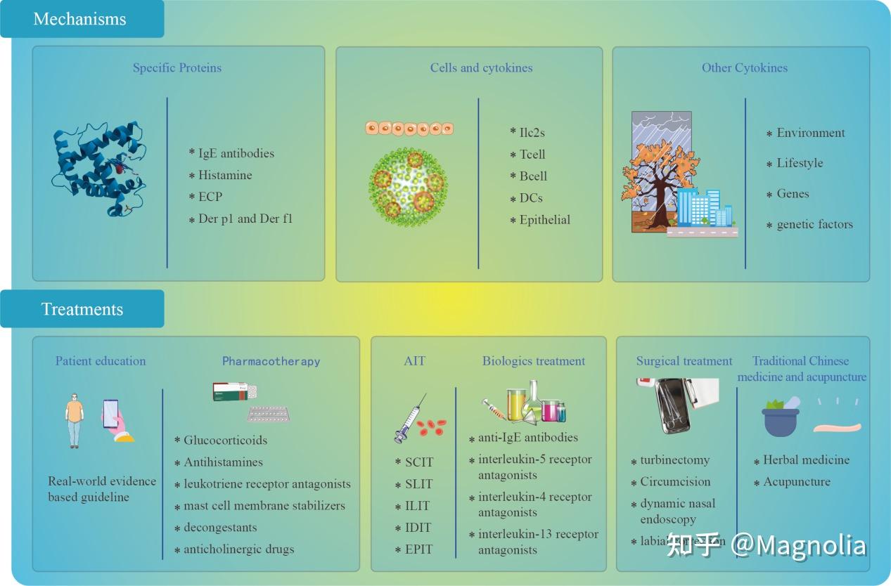 Advance in the mechanisms and management of allergic rhinitis - 知乎