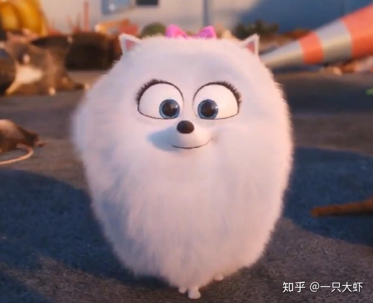 求爱宠大机密小白狗啾啾的头像