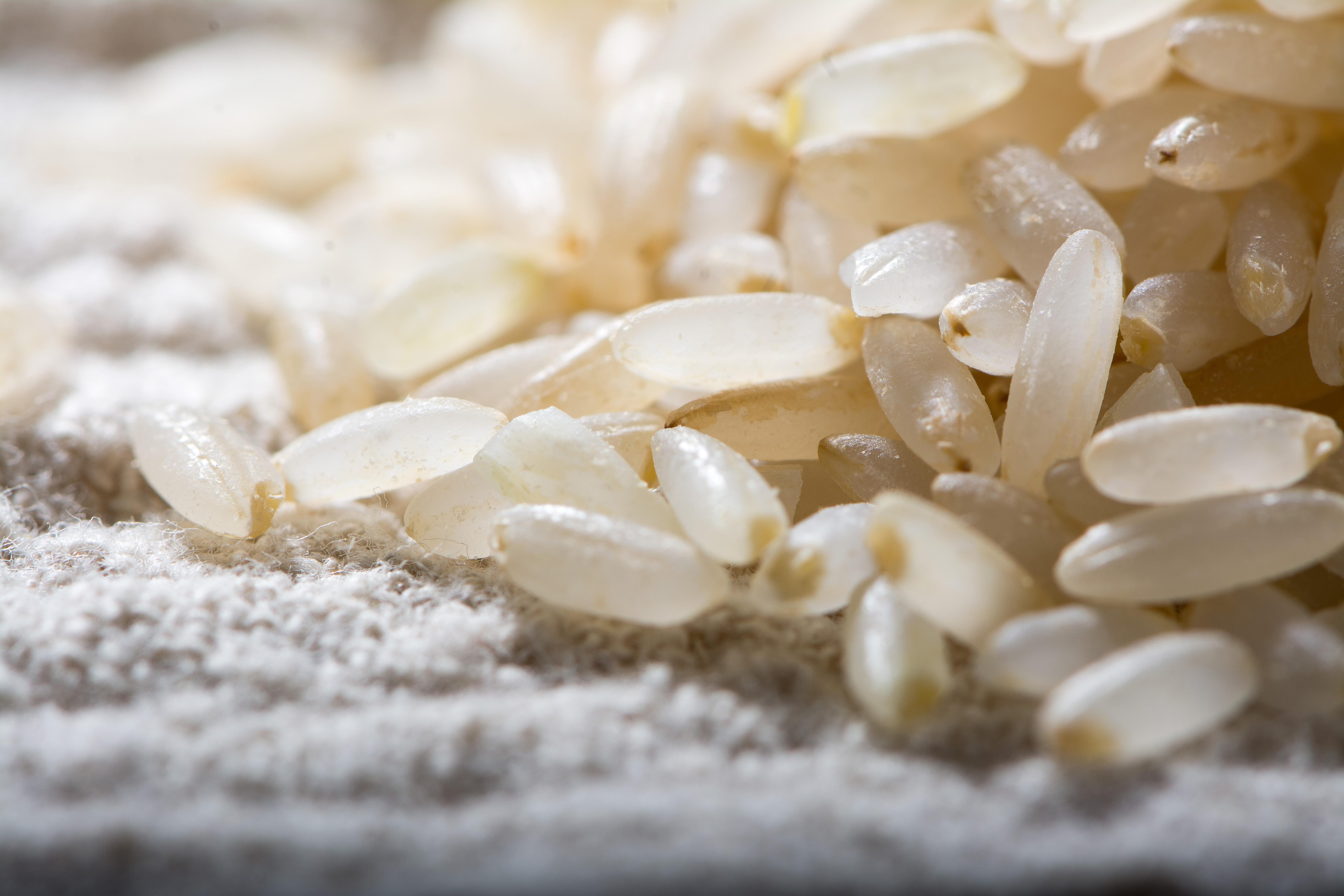 胚芽米颜色偏黄,也正常吗?