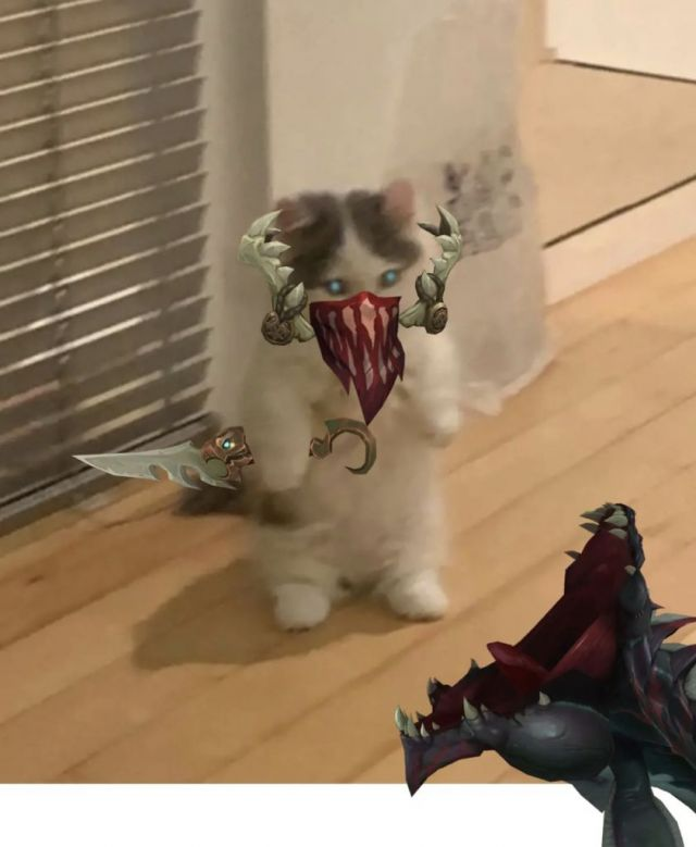你都有哪些英雄联盟魔法猫咪的表情包