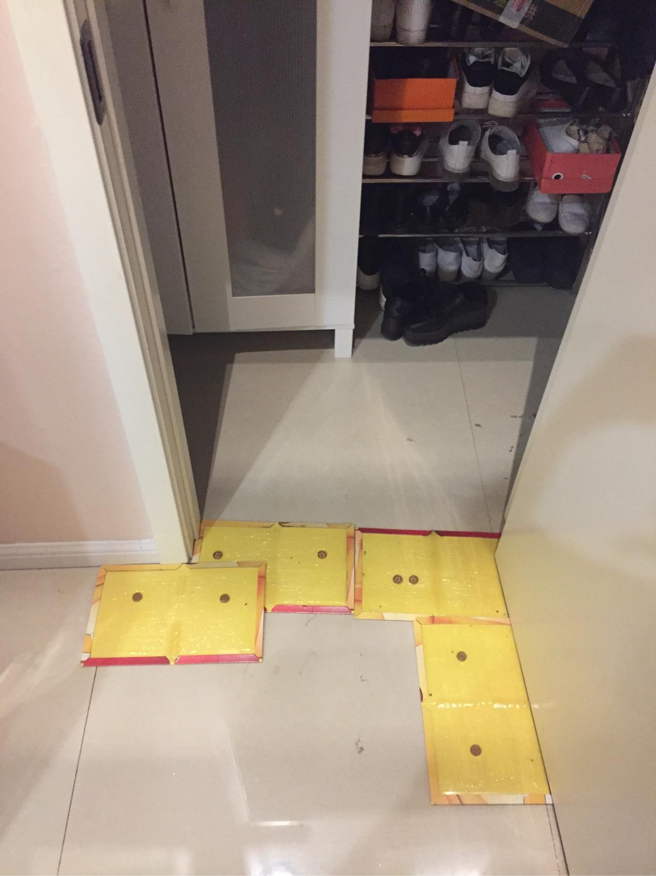 门的两侧一定要多放一张粘鼠板,避免老鼠挣脱