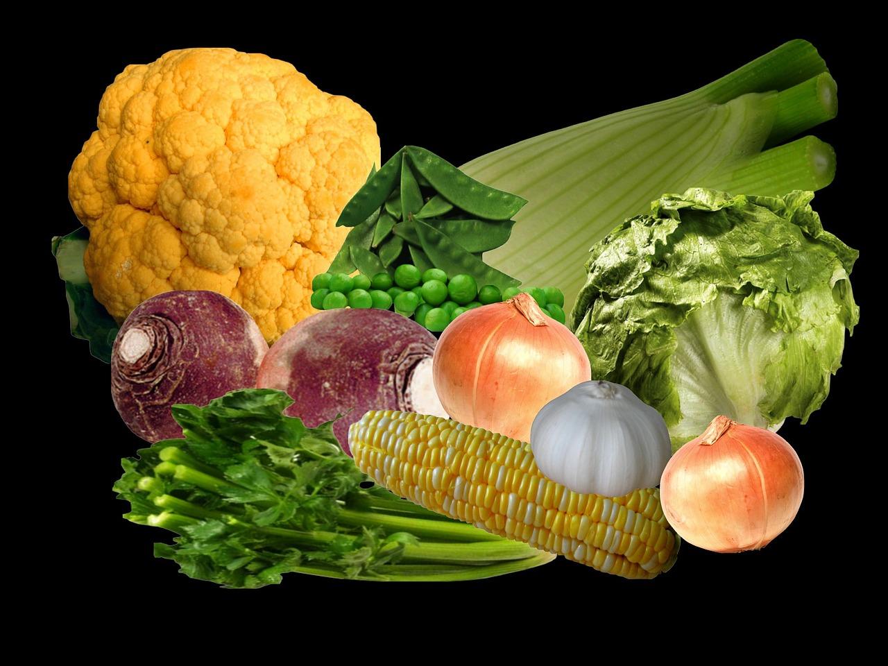 5. 蔬菜大棚投资