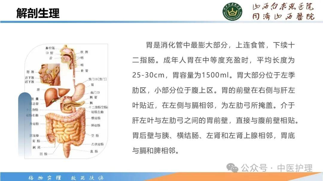 【PPT】胃脘痛的中医护理 - 知乎