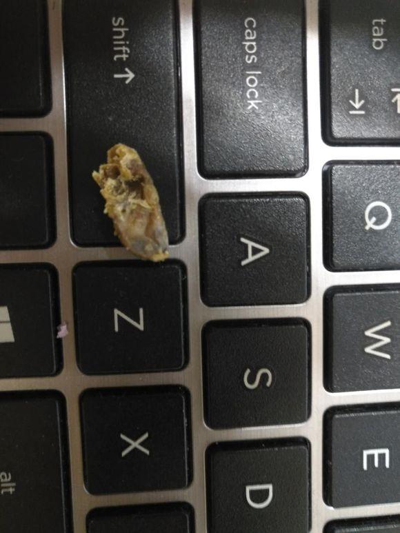 闷了耳朵好久的耳屎,轻轻地被挖了出来