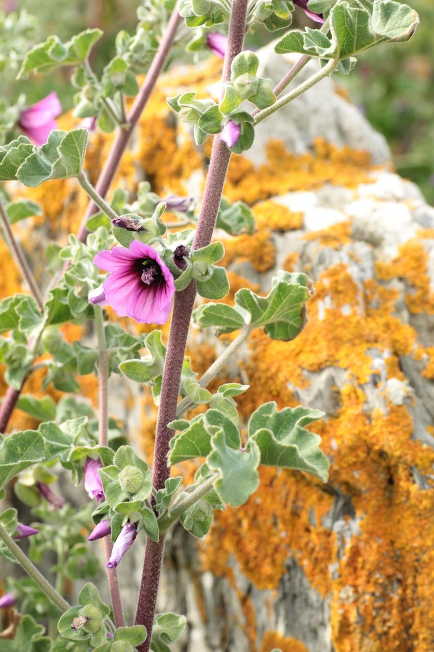 4. 石柱新房售价