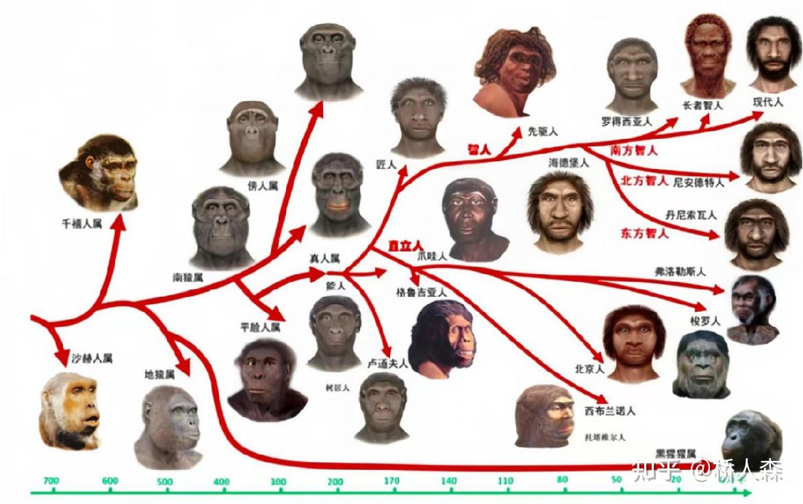 人类起源与现代人起源 - 知乎