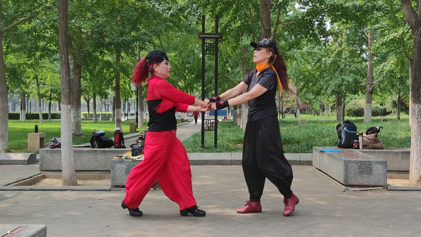 经典水兵舞第四套又见山里红歌醉舞美人更美