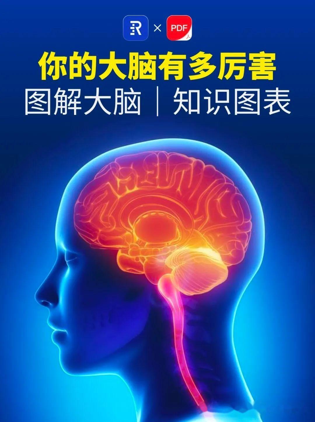 【图解大脑】你的大脑有多厉害？ - 知乎