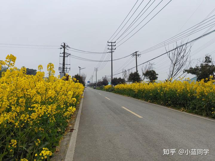 人，可以废物到什么程度？