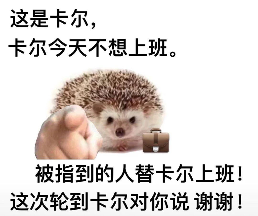 求刺猬卡尔表情包.哪哪都找不着? - 知乎