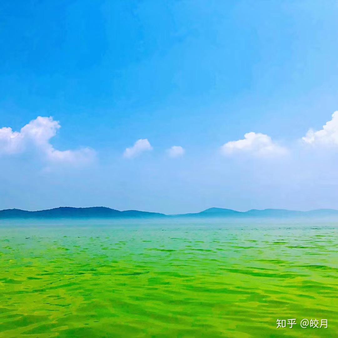 你用过哪些有趣或有意义的微信朋友圈背景图