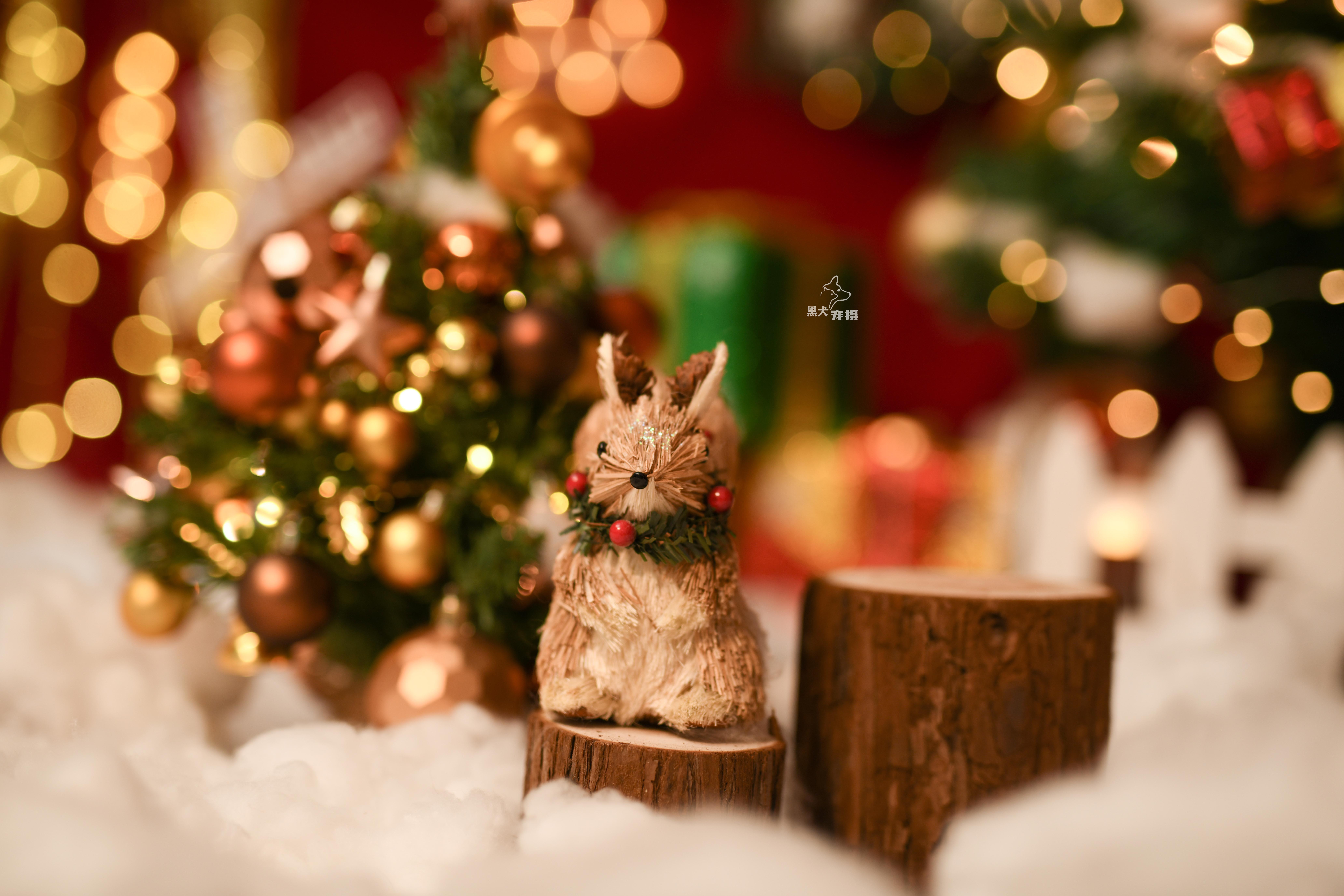 2021有哪些温柔的圣诞节文案