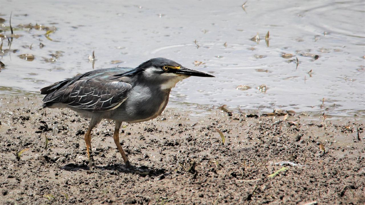 3. 办理进度追踪