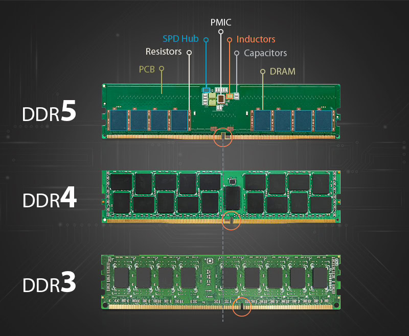 2026内存条选购指南 03月版 小白可看[DDR4 DDR5颗粒性能天梯图 高频率低时序大容量 双通道RAM电脑DIY硬件组装]光威/金百达 ...