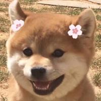 Zhihu profile picture for @yolk