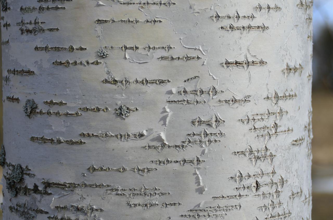 3. 杨木家具环保性