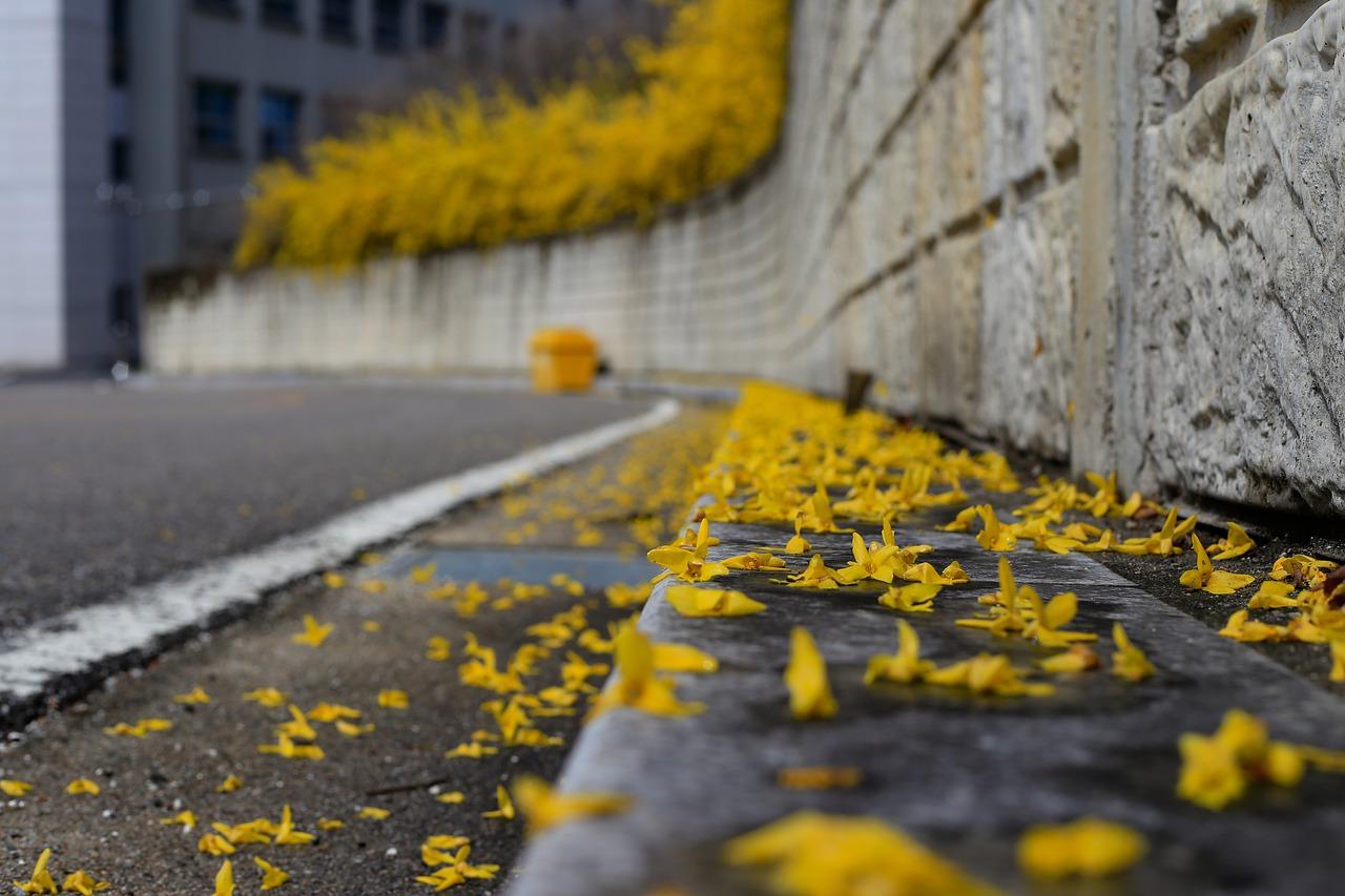 合肥春雨怎么样