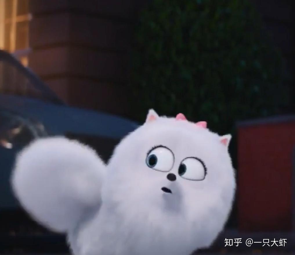 求爱宠大机密小白狗啾啾的头像