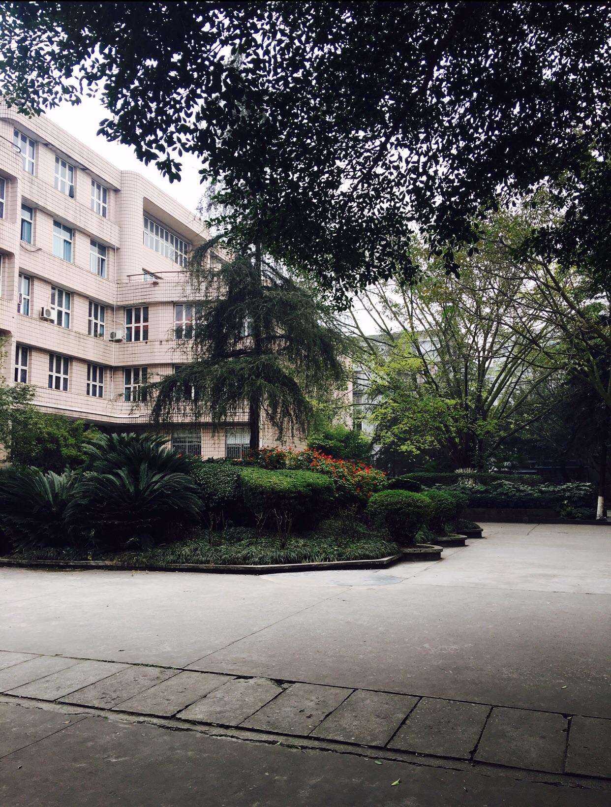 在隆昌一中就读有什么体验? - 知乎