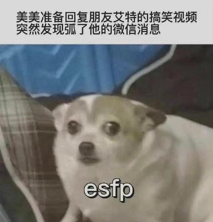 ESFP型人格解析 - 知乎