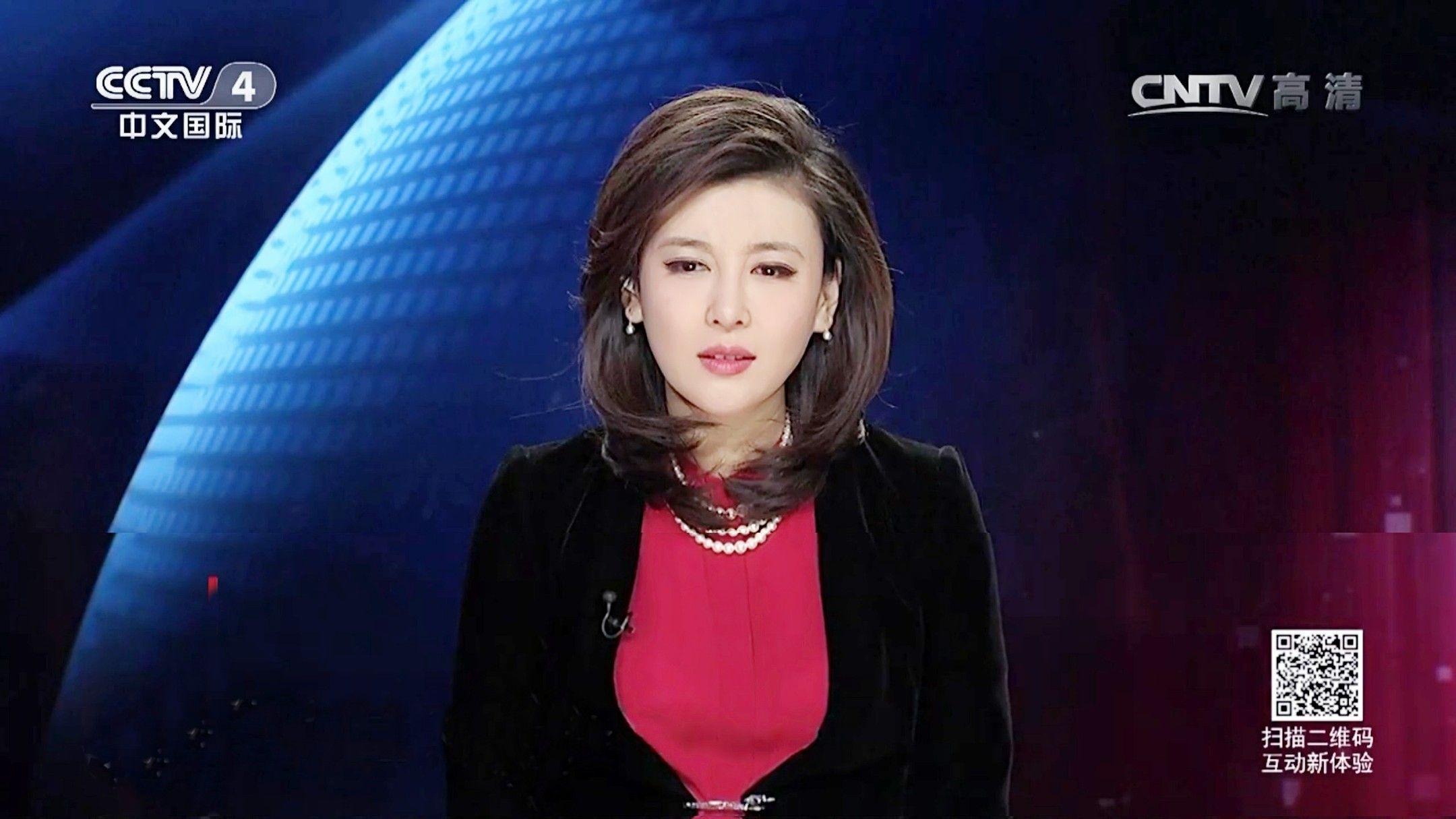 如何评价cctv4海峡两岸主持人李红的主持水平