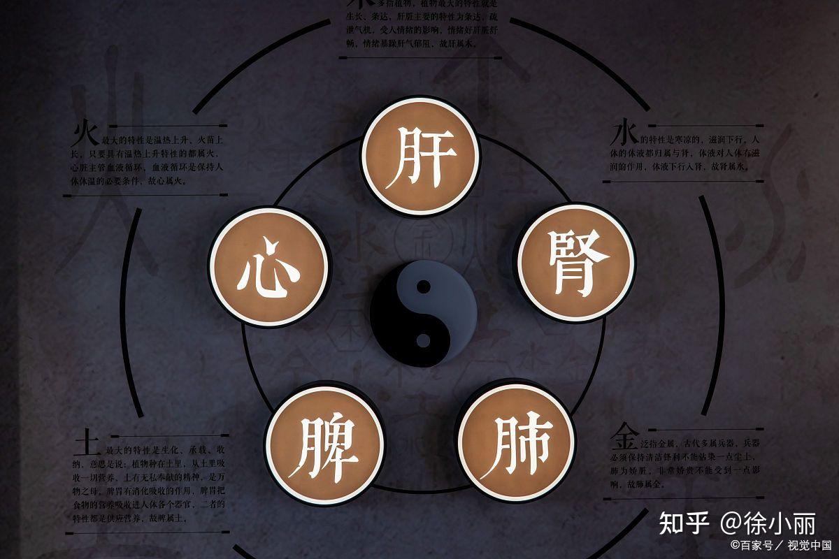 把中医气机说的真正透彻的深度好文,建议收藏 - 知乎